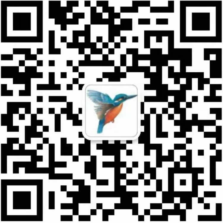 光损耗测试仪|进口光功率计|MPO光功率计光源|澳大利亚翠鸟·中国