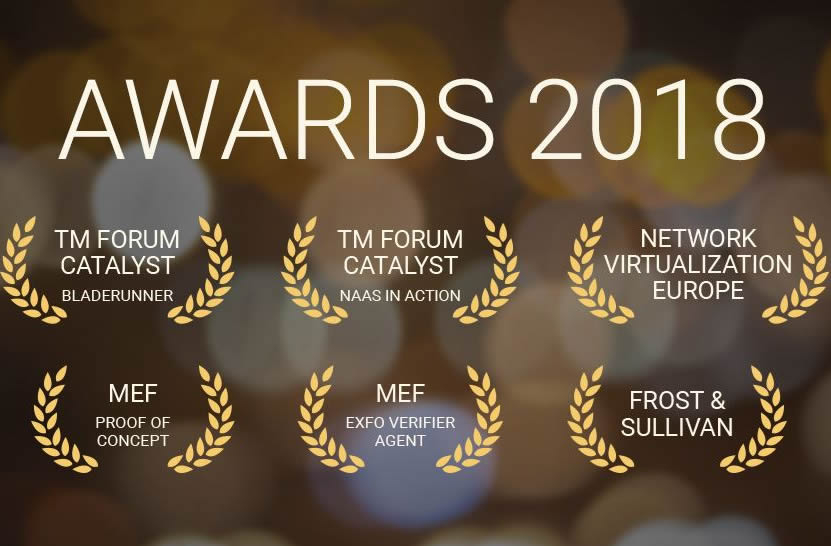 2018年欧洲虚拟网络测试奖